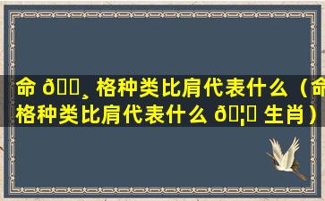 命 🕸 格种类比肩代表什么（命格种类比肩代表什么 🦆 生肖）